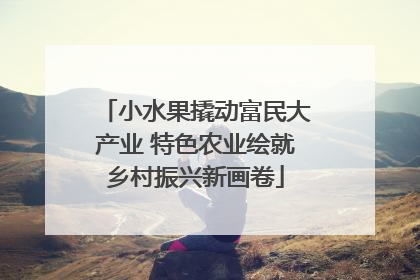 小水果撬动富民大产业 特色农业绘就乡村振兴新画卷