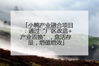小鸭产业融合项目：通过“厂区改造+产业置换”，盘活存量，增值增效