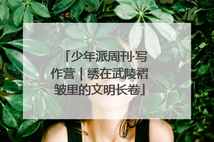 少年派周刊·写作营｜绣在武陵褶皱里的文明长卷