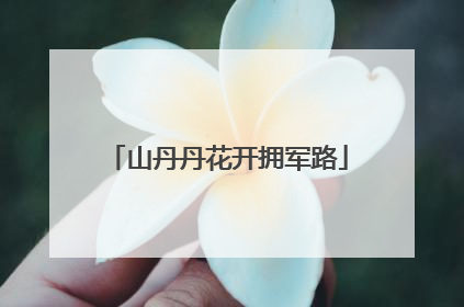 山丹丹花开拥军路