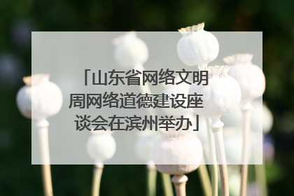 山东省网络文明周网络道德建设座谈会在滨州举办