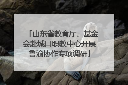 山东省教育厅、基金会赴城口职教中心开展鲁渝协作专项调研
