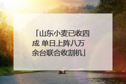 山东小麦已收四成 单日上阵八万余台联合收割机