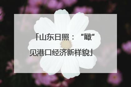山东日照：“瞰”见港口经济新样貌