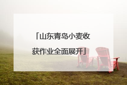山东青岛小麦收获作业全面展开