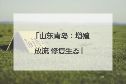 山东青岛：增殖放流 修复生态
