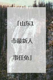 山东1市最新人事任免
