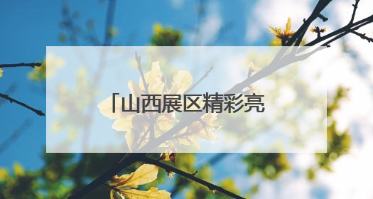 山西展区精彩亮相深圳文博会