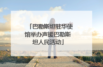 巴勒斯坦驻华使馆举办声援巴勒斯坦人民活动