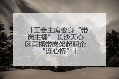 工会主席变身“带岗主播” 长沙天心区直播带岗架起职企“连心桥”