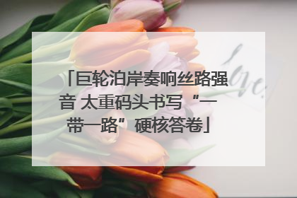 巨轮泊岸奏响丝路强音 太重码头书写“一带一路”硬核答卷
