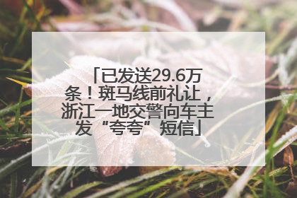 已发送29.6万条！斑马线前礼让，浙江一地交警向车主发“夸夸”短信