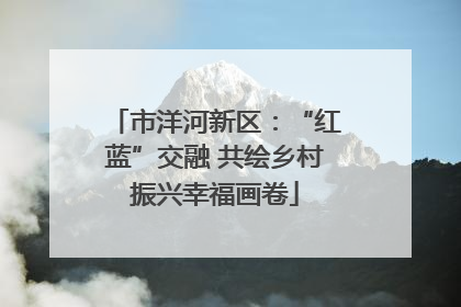 市洋河新区：“红蓝”交融 共绘乡村振兴幸福画卷