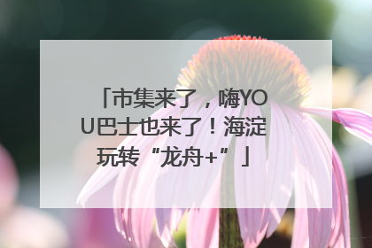 市集来了，嗨YOU巴士也来了！海淀玩转“龙舟+”