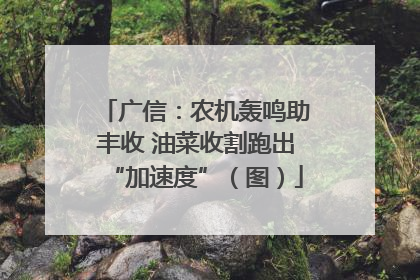 广信：农机轰鸣助丰收 油菜收割跑出“加速度”（图）