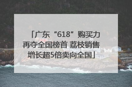 广东“618”购买力再夺全国榜首 荔枝销售增长超5倍卖向全国