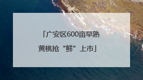 广安区600亩早熟黄桃抢“鲜”上市