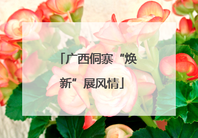 广西侗寨“焕新”展风情