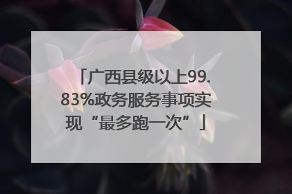 广西县级以上99.83%政务服务事项实现“最多跑一次”