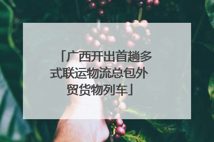 广西开出首趟多式联运物流总包外贸货物列车