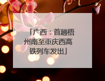 广西：首趟梧州南至重庆西高铁列车发出