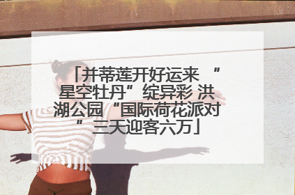 并蒂莲开好运来 “星空牡丹”绽异彩 洪湖公园“国际荷花派对”三天迎客六万
