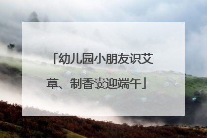 幼儿园小朋友识艾草、制香囊迎端午