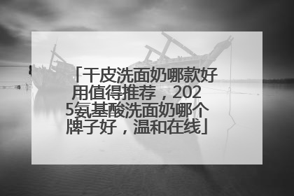 干皮洗面奶哪款好用值得推荐，2025氨基酸洗面奶哪个牌子好，温和在线
