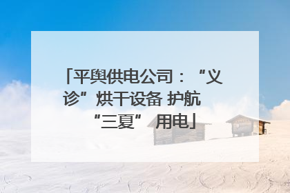平舆供电公司：“义诊”烘干设备 护航 “三夏” 用电