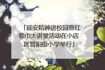 延安精神进校园暨红领巾大讲堂活动在小店区晋阳街小学举行
