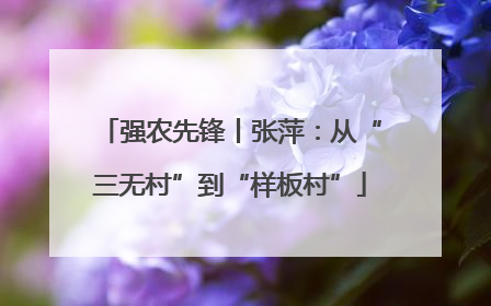 强农先锋丨张萍：从“三无村”到“样板村”