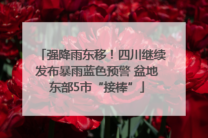强降雨东移！四川继续发布暴雨蓝色预警 盆地东部5市“接棒”