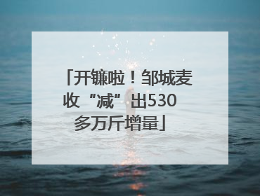 开镰啦！邹城麦收“减”出530多万斤增量