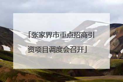 张家界市重点招商引资项目调度会召开