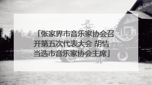 张家界市音乐家协会召开第五次代表大会 胡情当选市音乐家协会主席