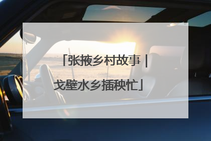 张掖乡村故事｜戈壁水乡插秧忙