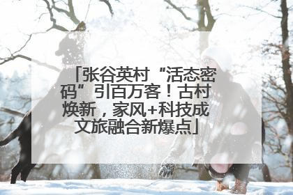 张谷英村“活态密码”引百万客！古村焕新，家风+科技成文旅融合新爆点
