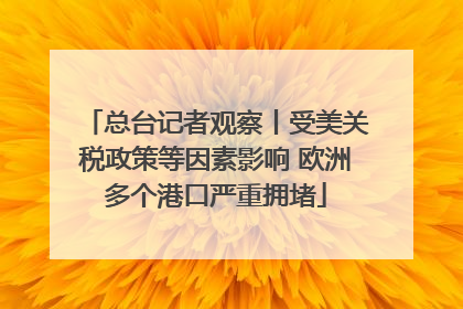 总台记者观察丨受美关税政策等因素影响 欧洲多个港口严重拥堵