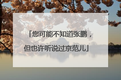 您可能不知道张鹏，但也许听说过京范儿
