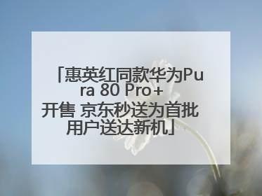 惠英红同款华为Pura 80 Pro+开售 京东秒送为首批用户送达新机