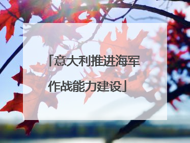 意大利推进海军作战能力建设