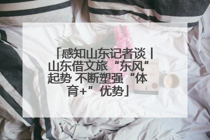 感知山东记者谈丨山东借文旅“东风”起势 不断塑强“体育+”优势