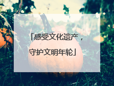 感受文化遗产，守护文明年轮
