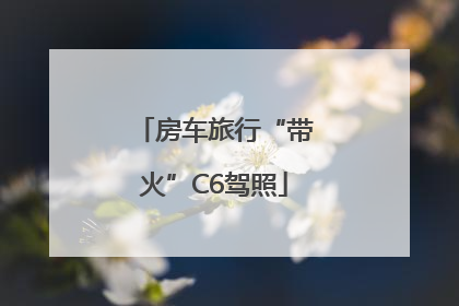房车旅行“带火”C6驾照
