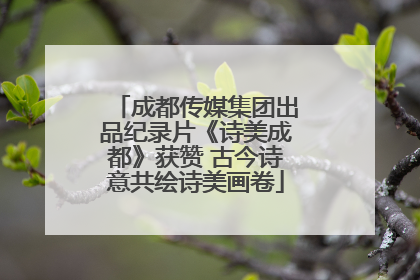 成都传媒集团出品纪录片《诗美成都》获赞 古今诗意共绘诗美画卷