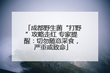成都野生菌“打野”攻略走红 专家提醒：切勿随意采食，严重或致命