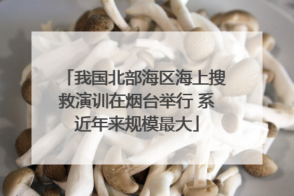 我国北部海区海上搜救演训在烟台举行 系近年来规模最大