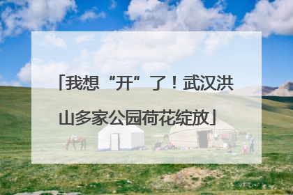 我想“开”了！武汉洪山多家公园荷花绽放