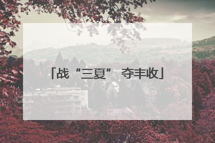 战“三夏” 夺丰收