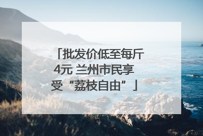 批发价低至每斤4元 兰州市民享受“荔枝自由”